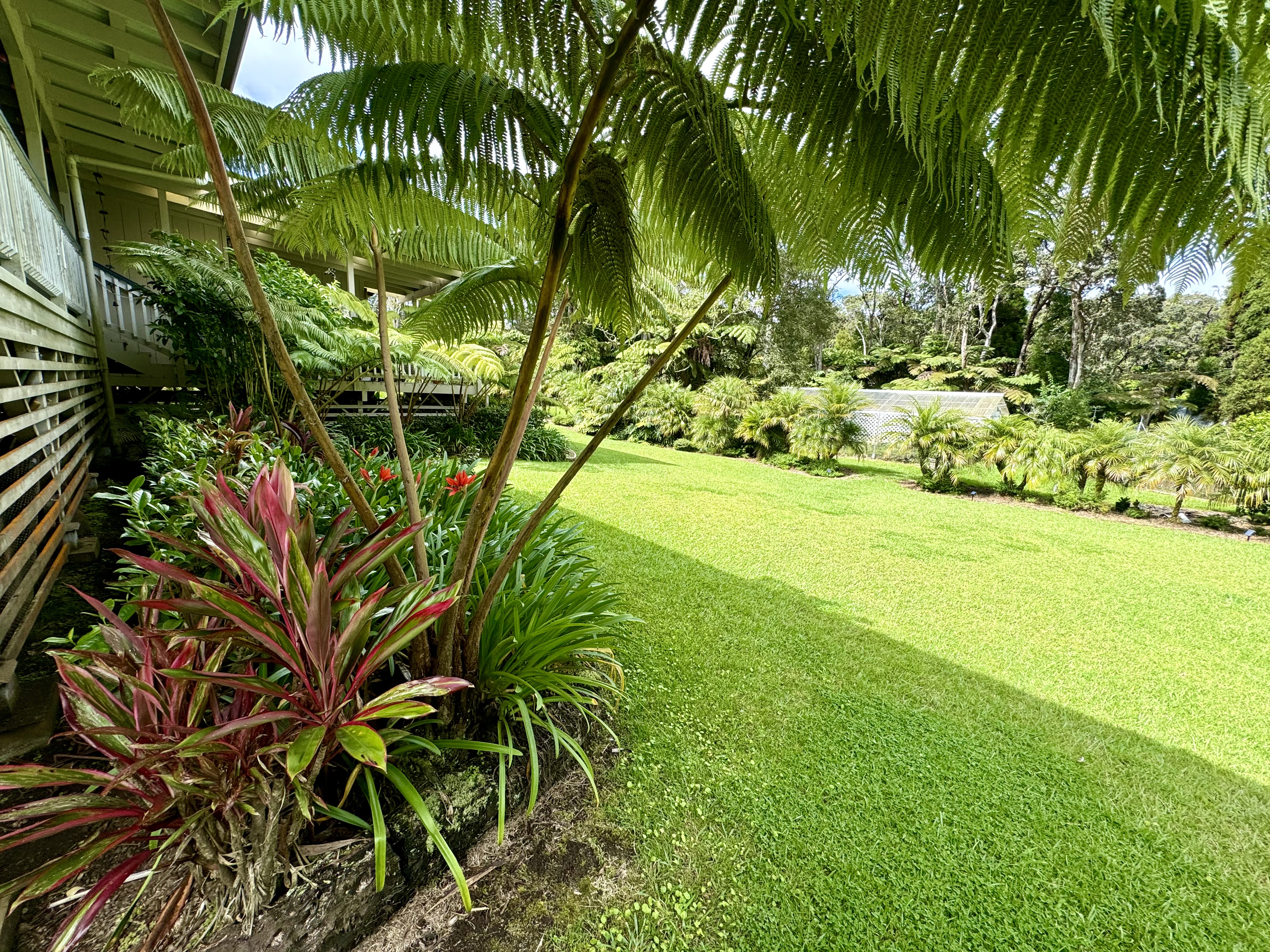 Backyard view