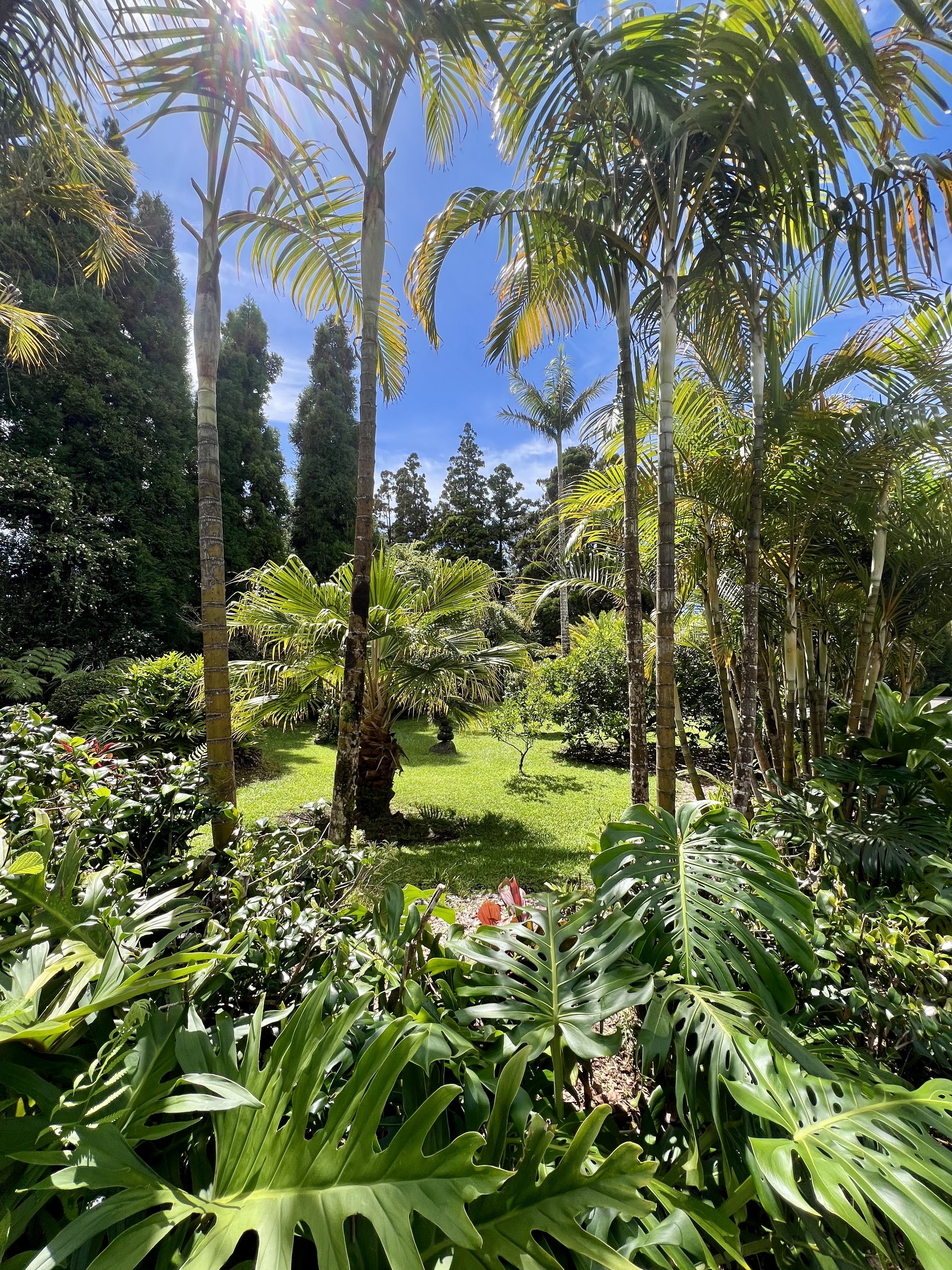 Garden entrance from parking lot