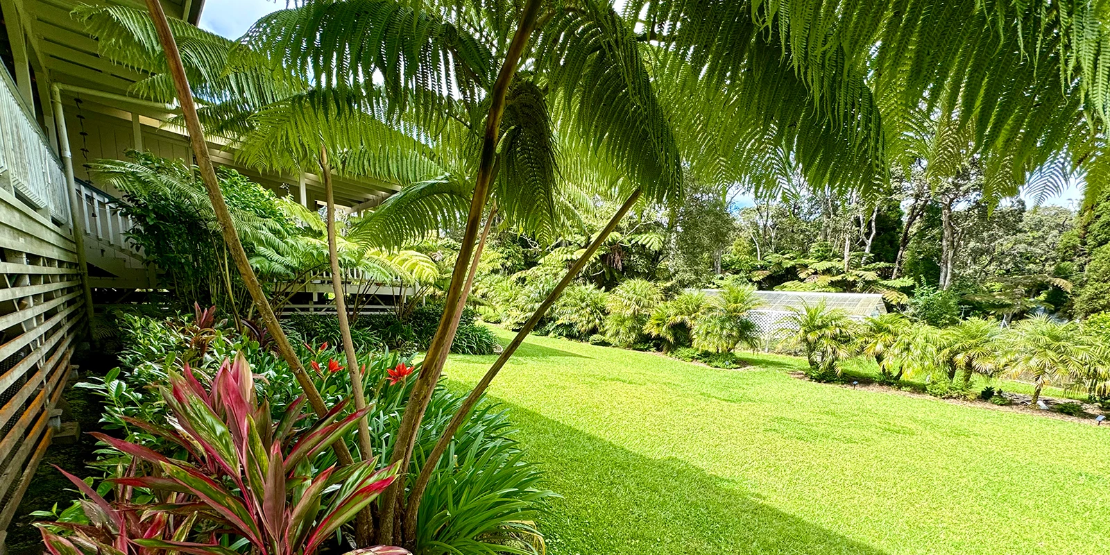 Backyard view